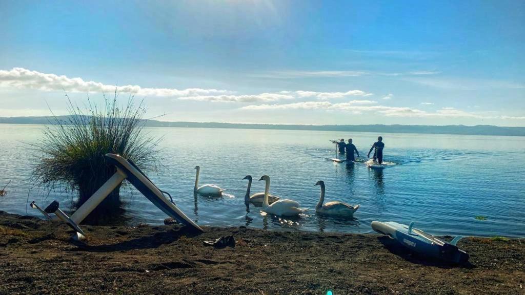 International Glamping Lago Di Bracciano Trevignano Romano Zewnętrze zdjęcie