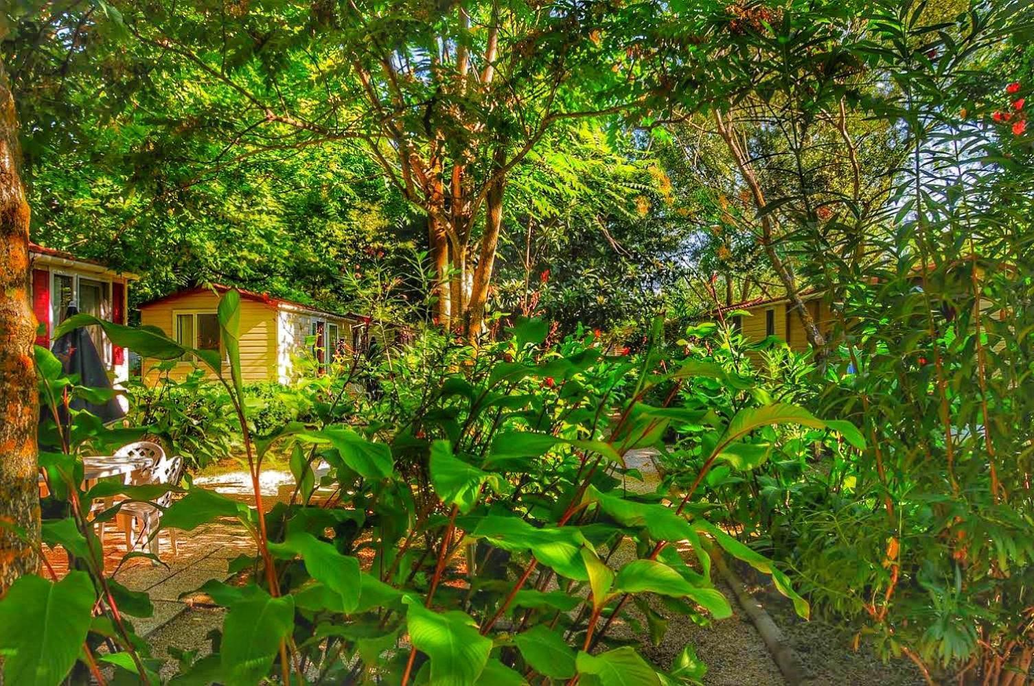 International Glamping Lago Di Bracciano Trevignano Romano Zewnętrze zdjęcie
