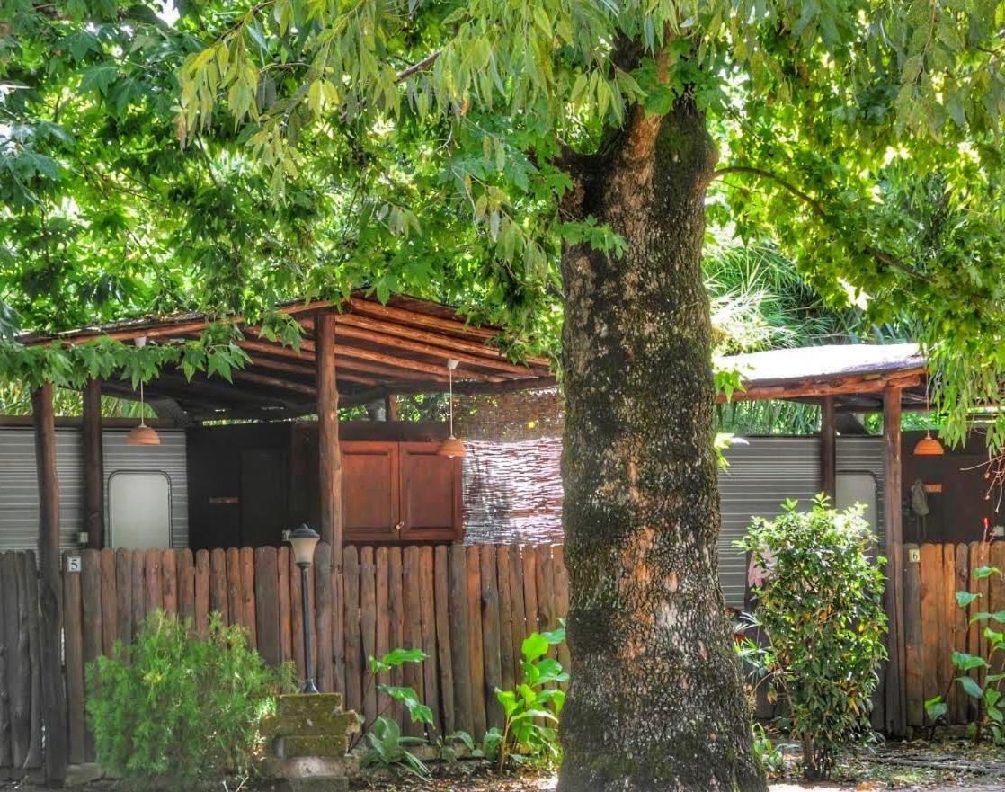 International Glamping Lago Di Bracciano Trevignano Romano Zewnętrze zdjęcie