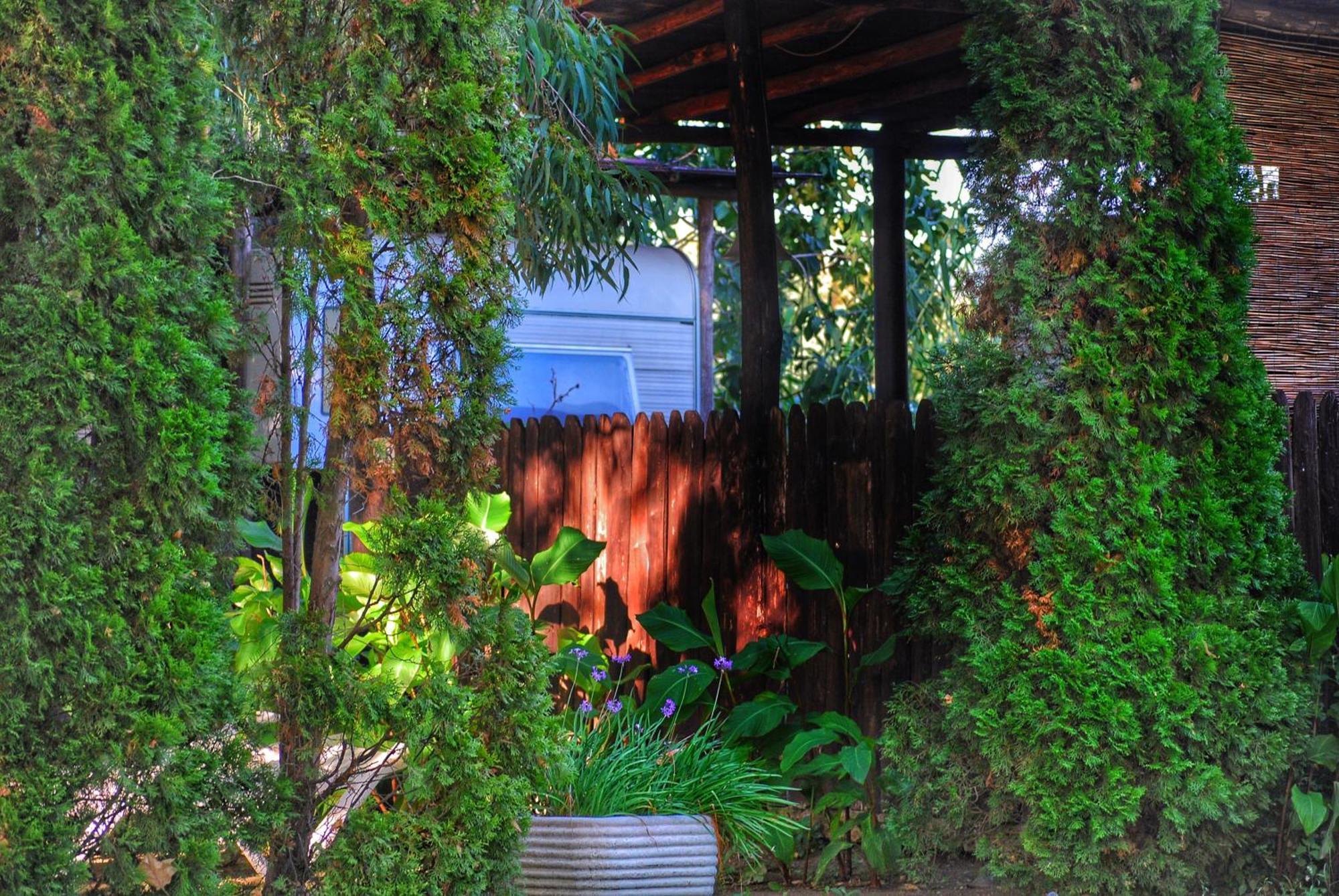 International Glamping Lago Di Bracciano Trevignano Romano Zewnętrze zdjęcie