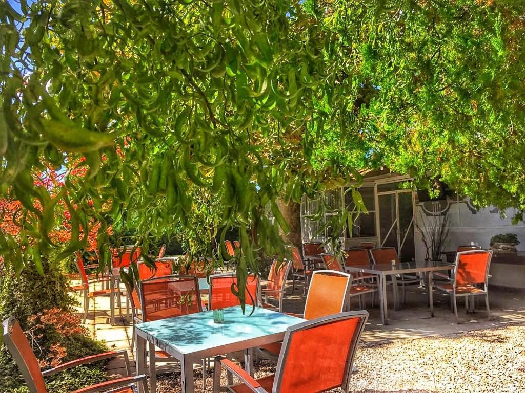 International Glamping Lago Di Bracciano Trevignano Romano Zewnętrze zdjęcie